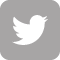 twitter-icon